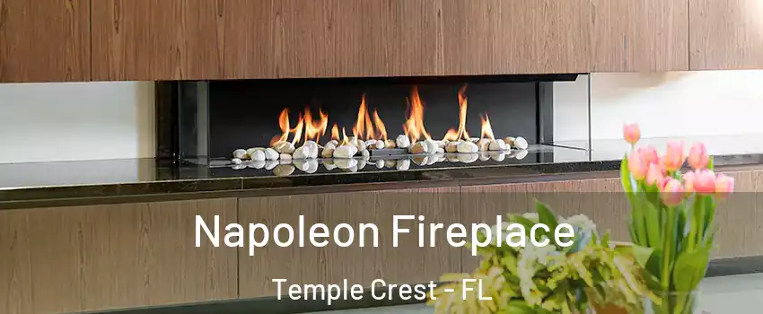 Napoleon Fireplace Temple Crest - FL