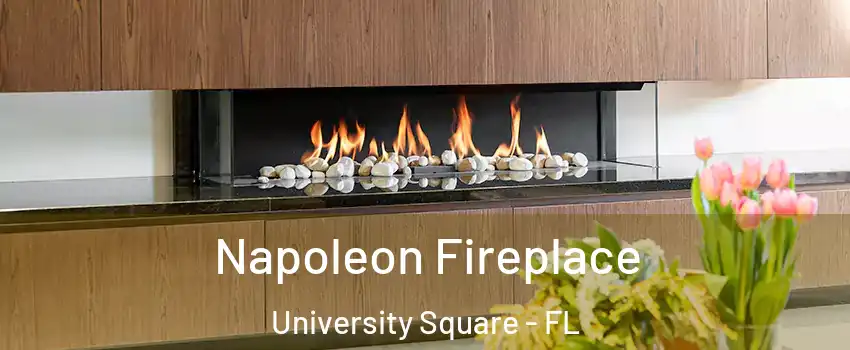 Napoleon Fireplace University Square - FL