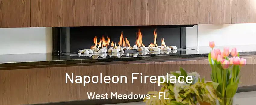 Napoleon Fireplace West Meadows - FL