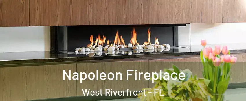 Napoleon Fireplace West Riverfront - FL