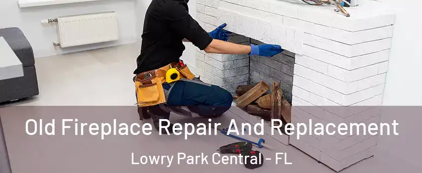 Old Fireplace Repair And Replacement Lowry Park Central - FL