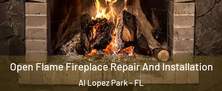 Open Flame Fireplace Repair And Installation Al Lopez Park - FL