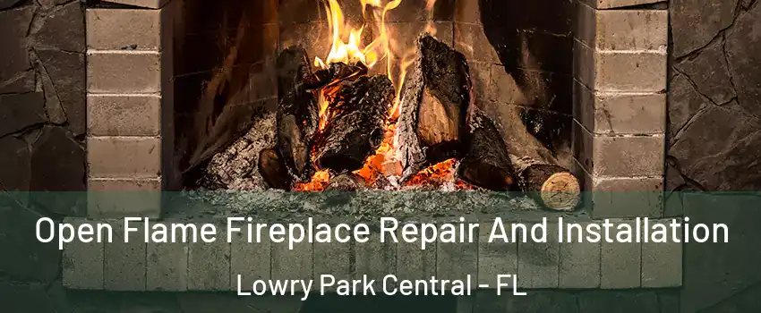 Open Flame Fireplace Repair And Installation Lowry Park Central - FL