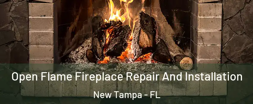 Open Flame Fireplace Repair And Installation New Tampa - FL