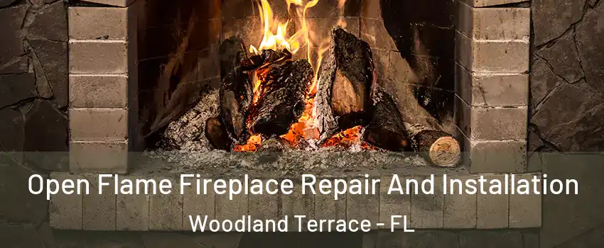 Open Flame Fireplace Repair And Installation Woodland Terrace - FL