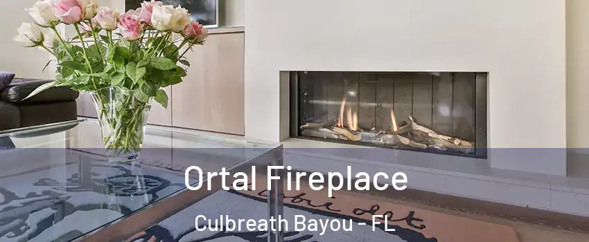 Ortal Fireplace Culbreath Bayou - FL