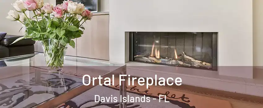 Ortal Fireplace Davis Islands - FL