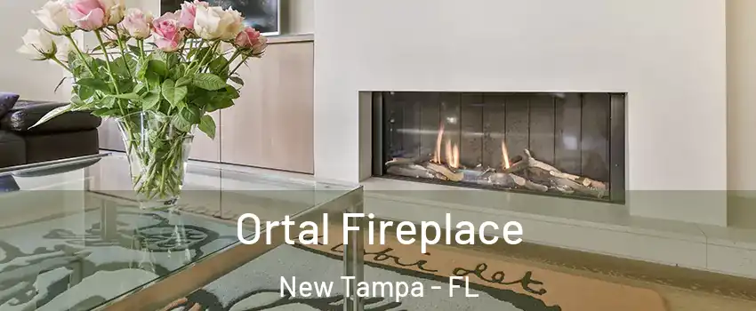 Ortal Fireplace New Tampa - FL