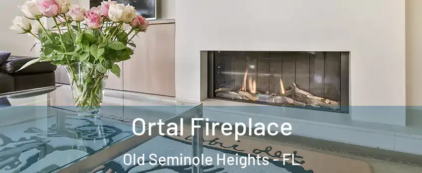 Ortal Fireplace Old Seminole Heights - FL