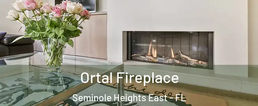 Ortal Fireplace Seminole Heights East - FL