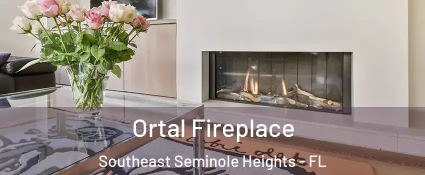 Ortal Fireplace Southeast Seminole Heights - FL