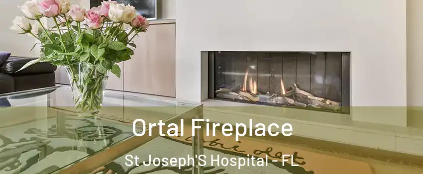 Ortal Fireplace St Joseph'S Hospital - FL