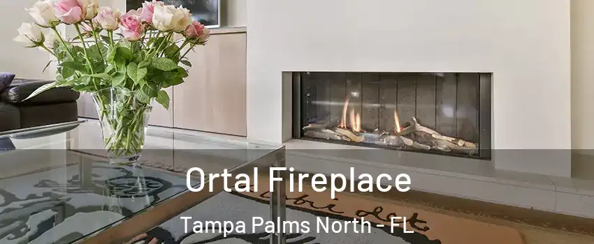 Ortal Fireplace Tampa Palms North - FL