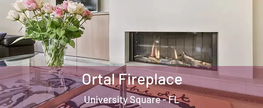 Ortal Fireplace University Square - FL