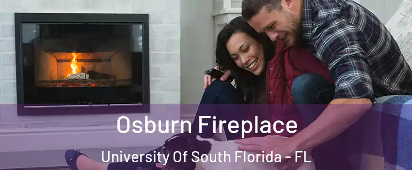 Osburn Fireplace University Of South Florida - FL