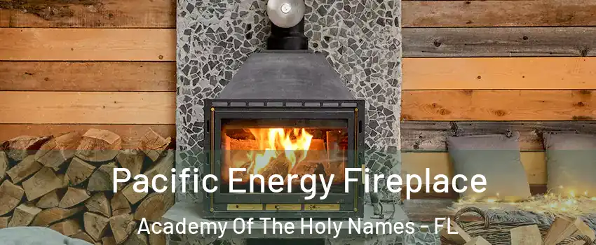 Pacific Energy Fireplace Academy Of The Holy Names - FL