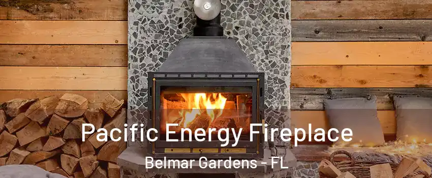 Pacific Energy Fireplace Belmar Gardens - FL