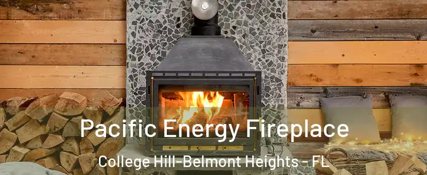 Pacific Energy Fireplace College Hill-Belmont Heights - FL