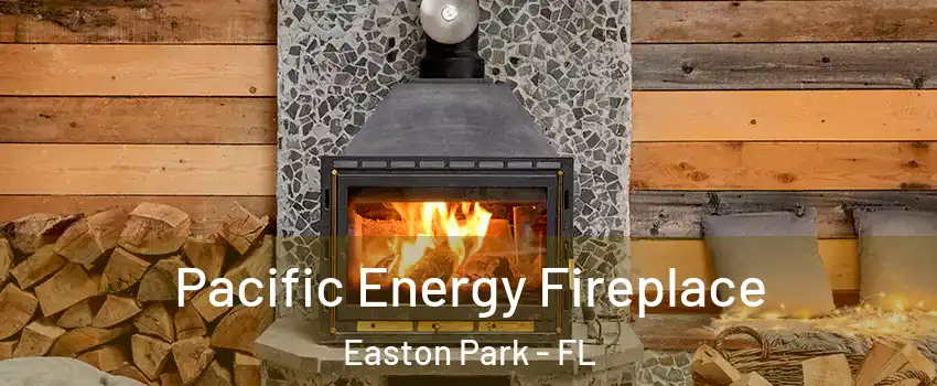 Pacific Energy Fireplace Easton Park - FL