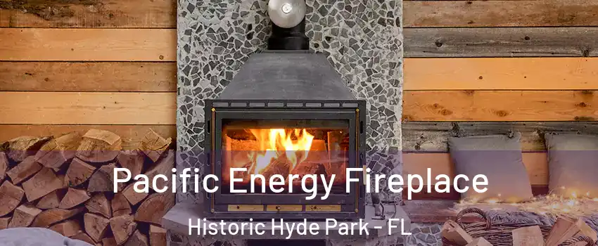 Pacific Energy Fireplace Historic Hyde Park - FL