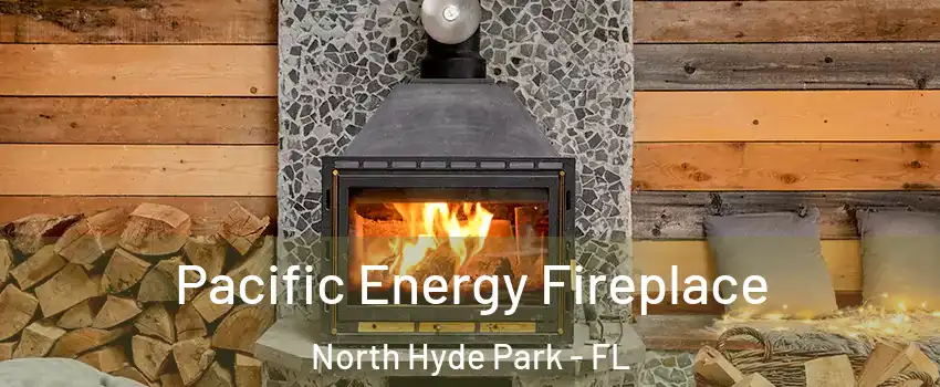 Pacific Energy Fireplace North Hyde Park - FL