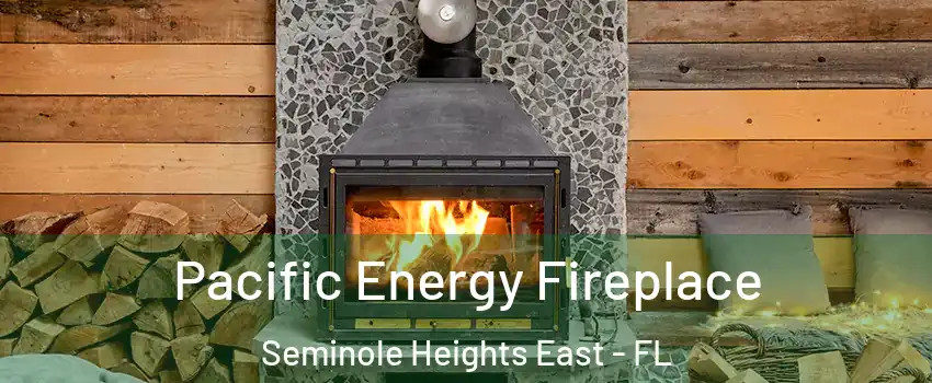 Pacific Energy Fireplace Seminole Heights East - FL