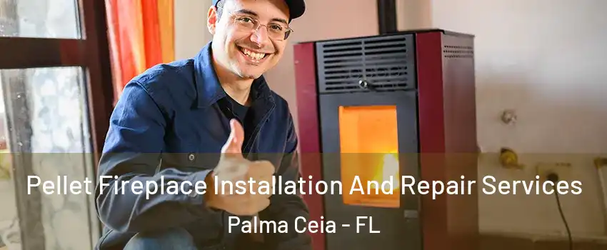 Pellet Fireplace Installation And Repair Services Palma Ceia - FL