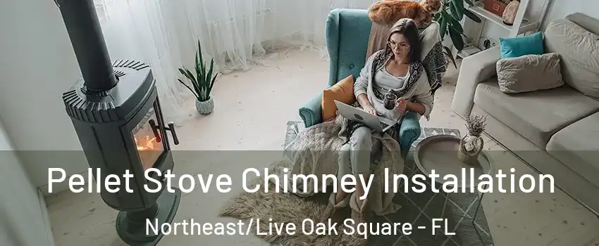 Pellet Stove Chimney Installation Northeast/Live Oak Square - FL