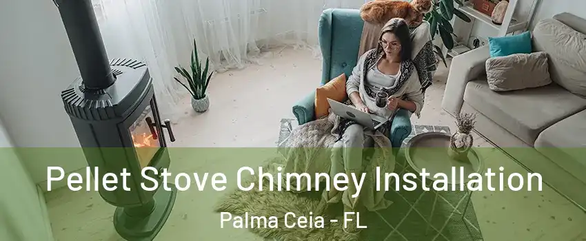 Pellet Stove Chimney Installation Palma Ceia - FL