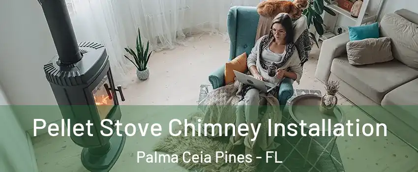 Pellet Stove Chimney Installation Palma Ceia Pines - FL