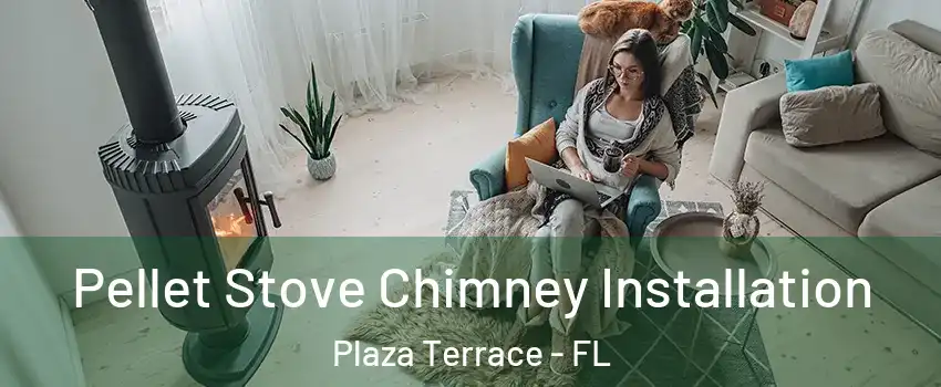 Pellet Stove Chimney Installation Plaza Terrace - FL