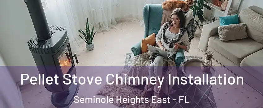 Pellet Stove Chimney Installation Seminole Heights East - FL