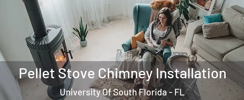 Pellet Stove Chimney Installation University Of South Florida - FL