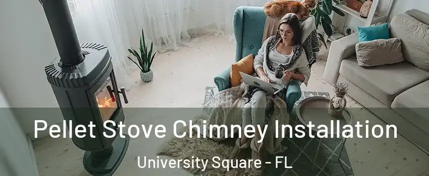 Pellet Stove Chimney Installation University Square - FL