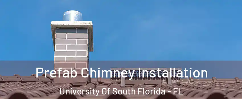 Prefab Chimney Installation University Of South Florida - FL