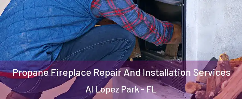 Propane Fireplace Repair And Installation Services Al Lopez Park - FL