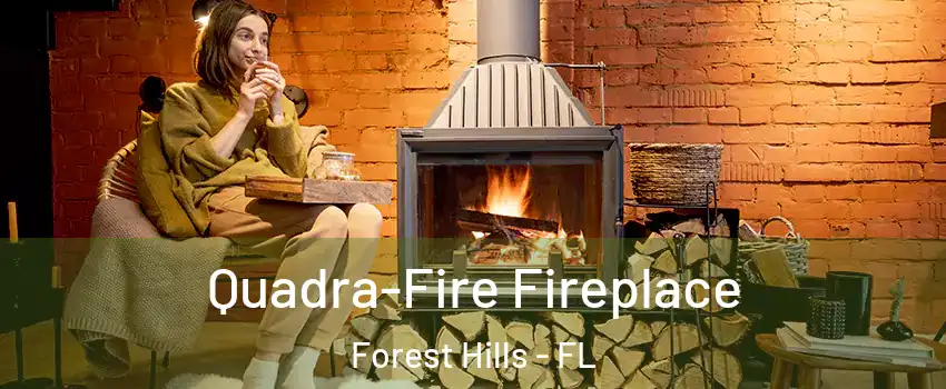 Quadra-Fire Fireplace Forest Hills - FL