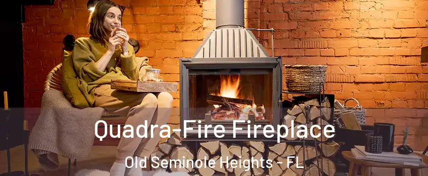 Quadra-Fire Fireplace Old Seminole Heights - FL