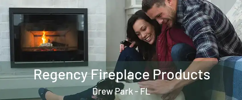 Regency Fireplace Products Drew Park - FL