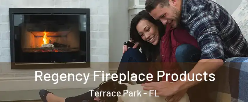 Regency Fireplace Products Terrace Park - FL