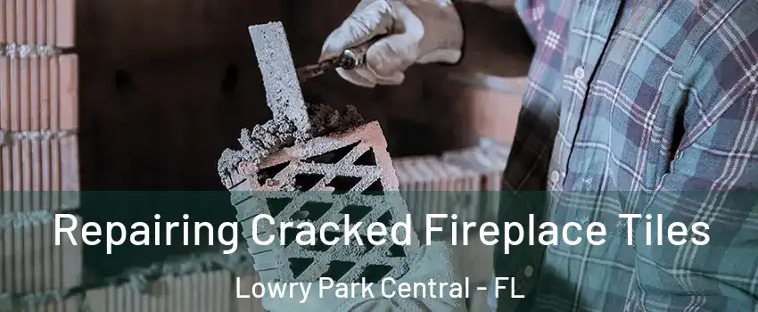 Repairing Cracked Fireplace Tiles Lowry Park Central - FL