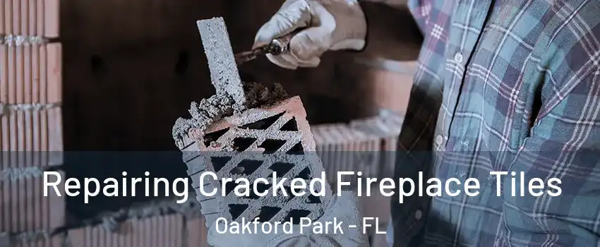 Repairing Cracked Fireplace Tiles Oakford Park - FL