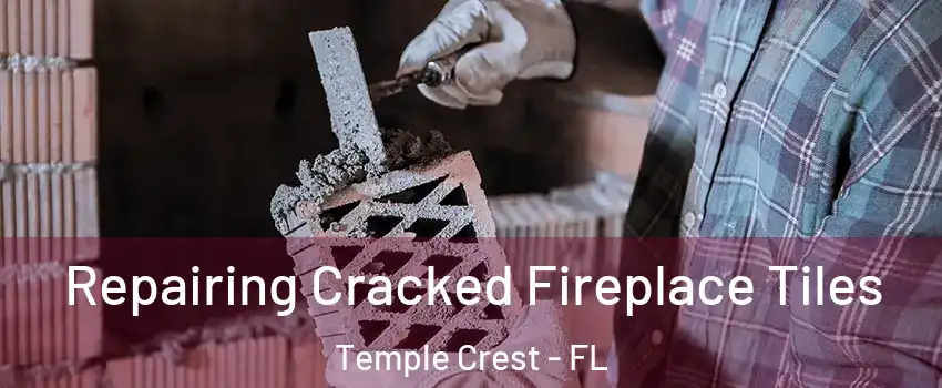 Repairing Cracked Fireplace Tiles Temple Crest - FL