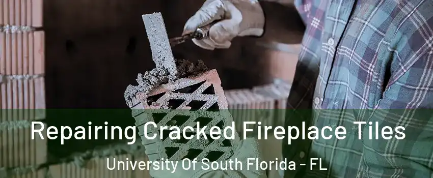 Repairing Cracked Fireplace Tiles University Of South Florida - FL