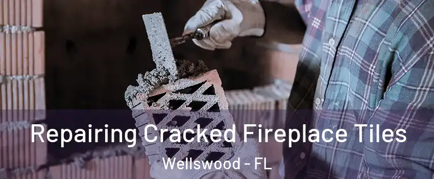 Repairing Cracked Fireplace Tiles Wellswood - FL