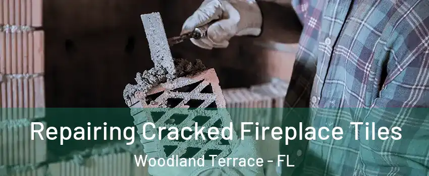 Repairing Cracked Fireplace Tiles Woodland Terrace - FL