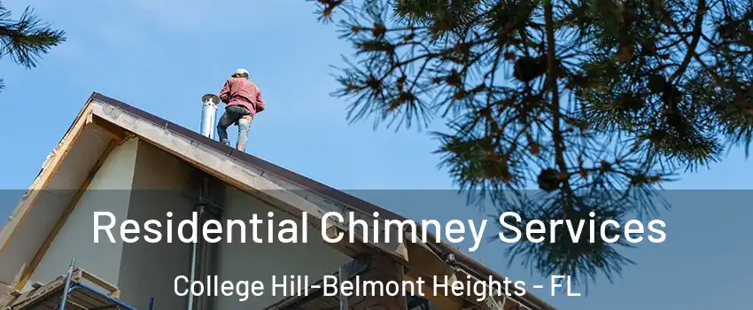 Residential Chimney Services College Hill-Belmont Heights - FL