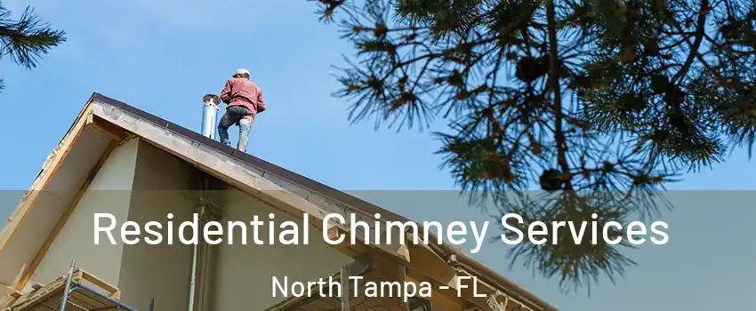 Residential Chimney Services North Tampa - FL