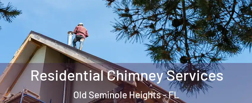 Residential Chimney Services Old Seminole Heights - FL