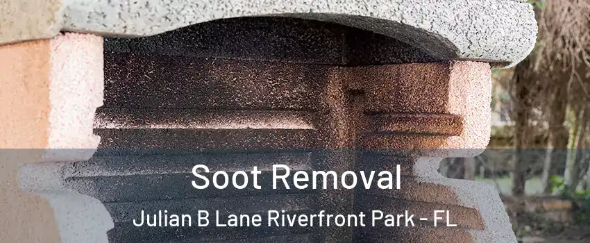 Soot Removal Julian B Lane Riverfront Park - FL